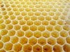 تصویر مدرک مهندسی «زنبور عسل» هم جعلی است!